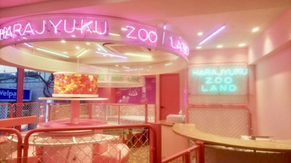 A new “kawaii” zoo café opens in Takeshita Street, Harajuku! | Sally.asia