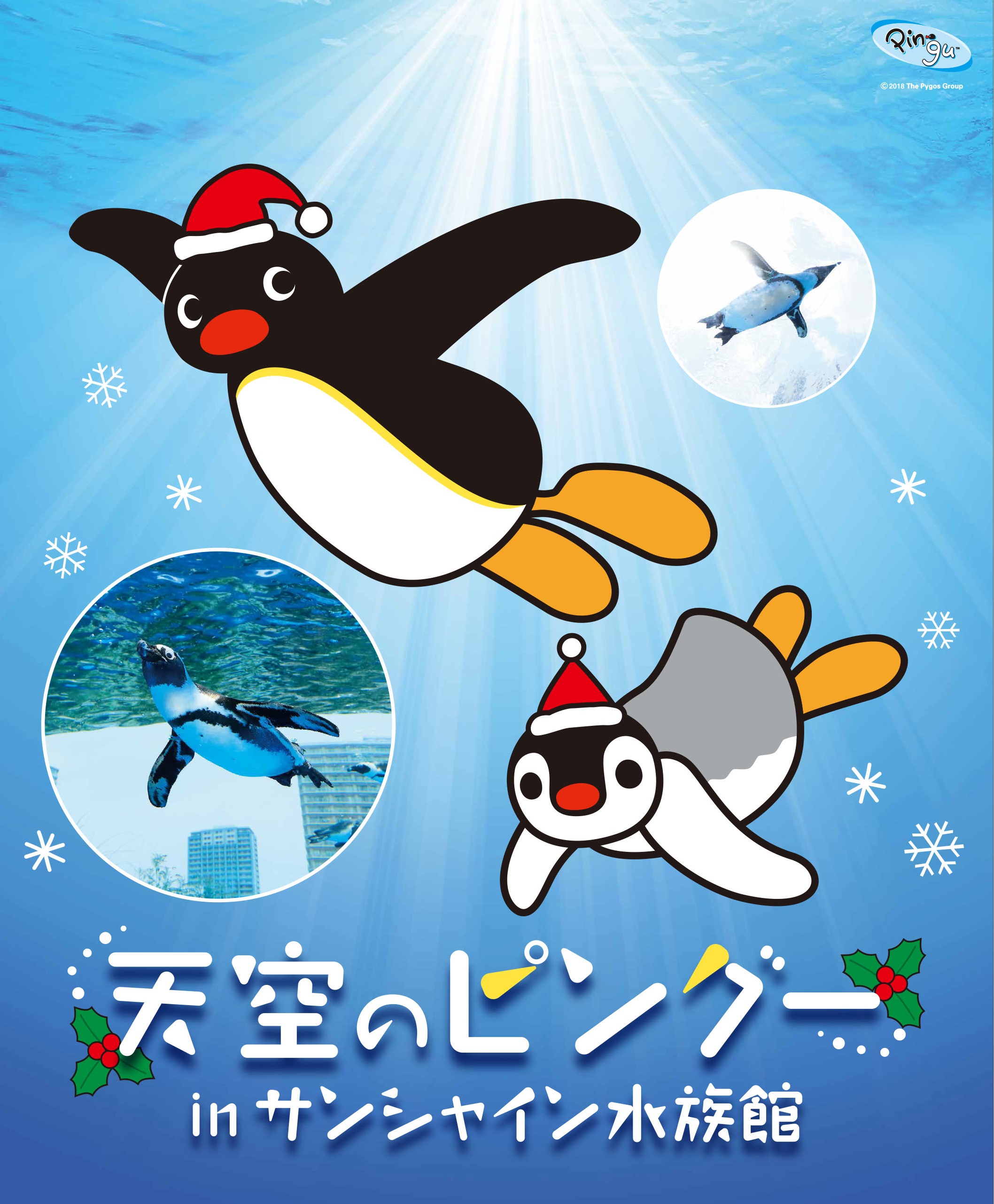 水族館の空にペンギンが 天空のピングー Inサンシャイン水族館 開催 Sally Asia