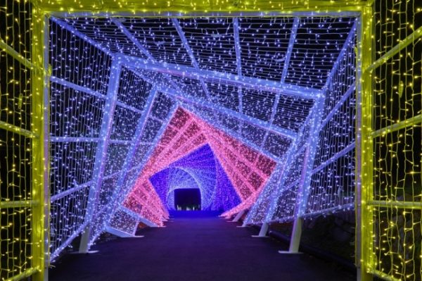 今年のイルミネーショントレンドは 体感型 京都dna 発信マガジンが京都の新スポットをご紹介 Sally Asia 今年のイルミネーショントレンドは 体感型 京都dna 発信マガジンが京都の新スポットをご紹介 Sally Asia